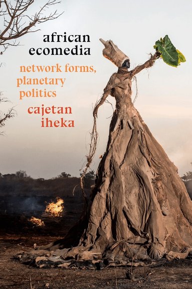 Cajetan Iheka - African Ecomedia, Häftad