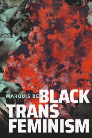 bokomslag Black Trans Feminism