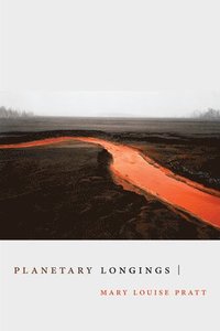 bokomslag Planetary Longings