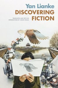 bokomslag Discovering Fiction