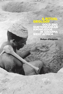 Robyn d'Avignon, Robyn D'Avignon - Ritual Geology, Inbunden