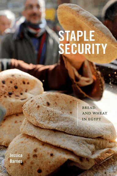 Jessica Barnes - Staple Security, Inbunden