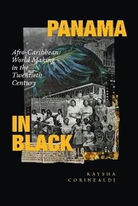 bokomslag Panama in Black