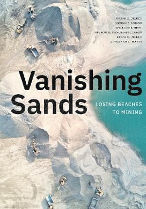 bokomslag Vanishing Sands