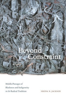 bokomslag Beyond Constraint