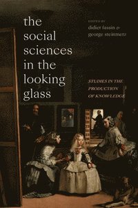 bokomslag The Social Sciences in the Looking Glass