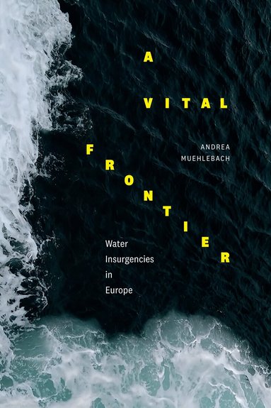 Andrea Muehlebach - Vital Frontier, Inbunden