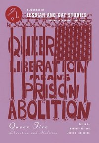 bokomslag Queer Fire