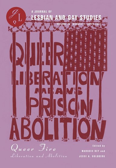 Marquis Bey, Jesse A. Goldberg - Queer Fire, Häftad