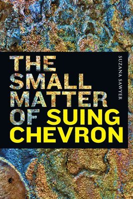 bokomslag The Small Matter of Suing Chevron