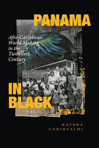bokomslag Panama in Black