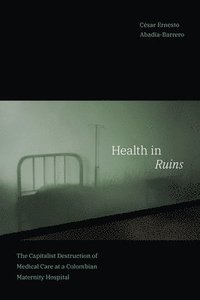 bokomslag Health in Ruins