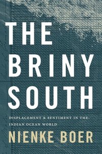 bokomslag The Briny South