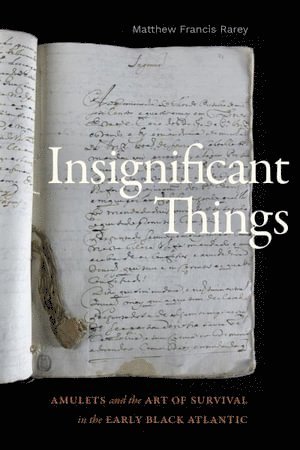 Matthew Francis Rarey - Insignificant Things, Häftad
