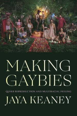 bokomslag Making Gaybies