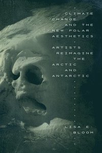 bokomslag Climate Change and the New Polar Aesthetics