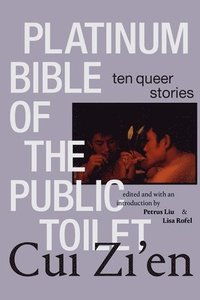 bokomslag Platinum Bible of the Public Toilet