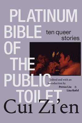 bokomslag Platinum Bible of the Public Toilet