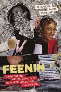bokomslag Feenin