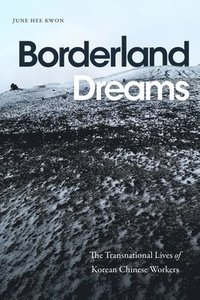 bokomslag Borderland Dreams