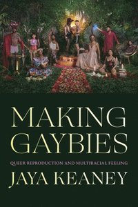 bokomslag Making Gaybies
