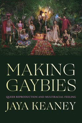 bokomslag Making Gaybies