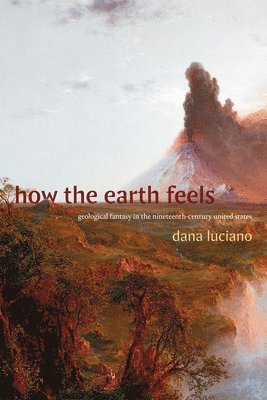How the Earth Feels 1