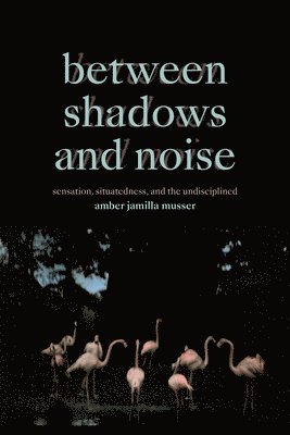 Between Shadows and Noise