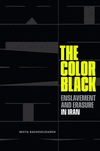 bokomslag The Color Black