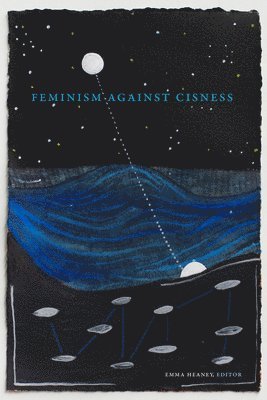 Feminism Against Cisness