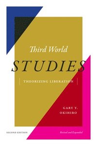 bokomslag Third World Studies