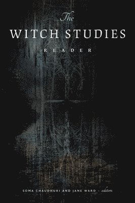 bokomslag Witch Studies Reader