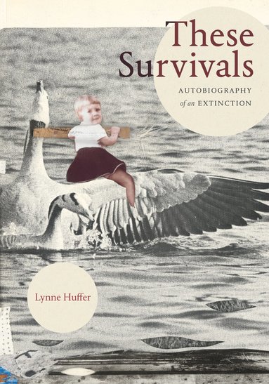 Lynne Huffer - These Survivals, Inbunden