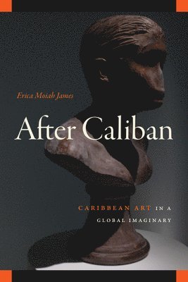 bokomslag After Caliban
