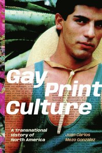 bokomslag Gay Print Culture