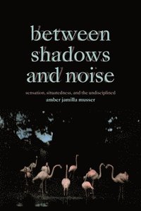 bokomslag Between Shadows and Noise