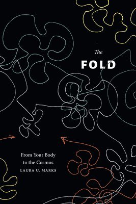 The Fold 1