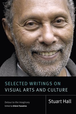 bokomslag Selected Writings on Visual Arts and Culture