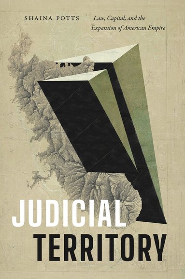 bokomslag Judicial Territory