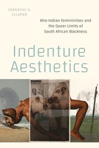 bokomslag Indenture Aesthetics