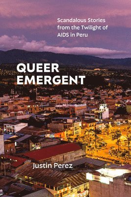 bokomslag Queer Emergent
