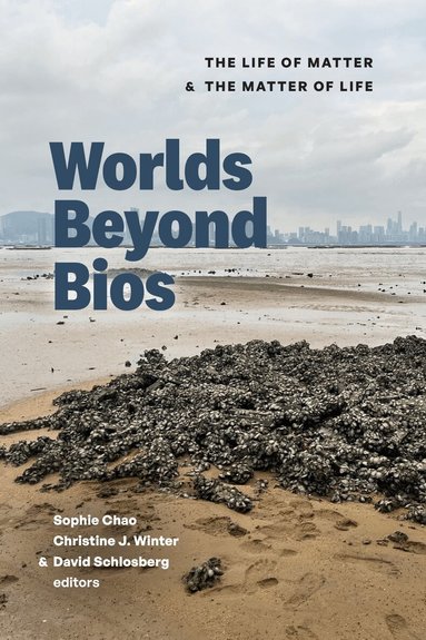 Sophie Chao, Christine J. Winter, David Schlosberg - Worlds Beyond Bios, Häftad