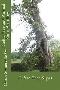 bokomslag Celtic Tree and Animal Spirit Astrology: Celtic Tree Signs