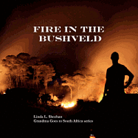 bokomslag Fire in the Bushveld: Grandma Goes to South Africa series