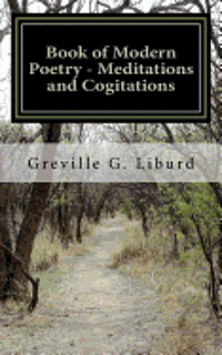 bokomslag Book of Modern Poetry - Meditations and Cogitations