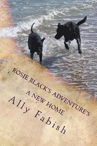 bokomslag A New Home: Rosie Black's Adventures