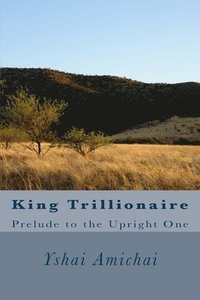 bokomslag King Trillionaire