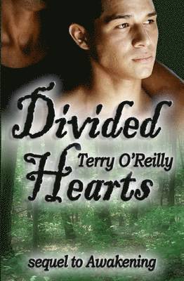 Divided Hearts 1