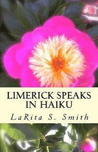 bokomslag Limerick Speaks in Haiku