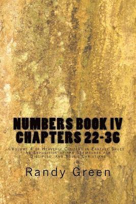 bokomslag Numbers Book IV